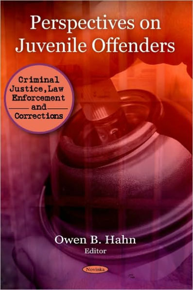 Perspectives on Juvenile Offenders