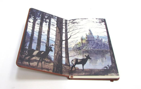 Harry Potter Hogwarts Bound Ruled Journal 5.5