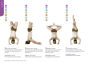 Alternative view 4 of Yogasana: The Encyclopedia of Yoga Poses