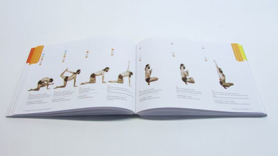 Yogasana: The Encyclopedia of Yoga Poses by Yogrishi Ph.D. Vishvketu ...