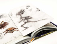 Alternative view 13 of Labyrinth: The Ultimate Visual History