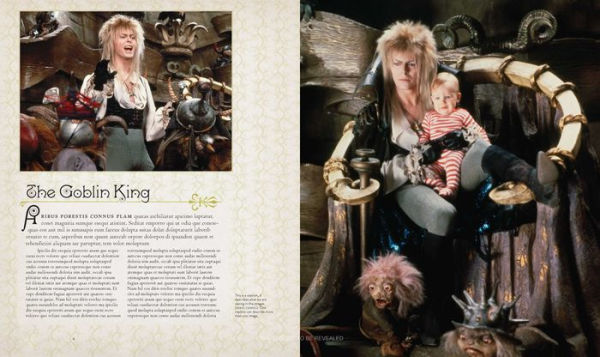 Labyrinth: The Ultimate Visual History