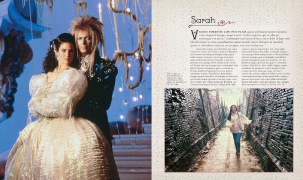 Labyrinth: The Ultimate Visual History by Paula M Block, Terry J