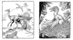 Alternative view 4 of Dinosaurs: A Coloring Book by William Stout