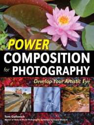 Title: Power Composition for Photography: Develop Your Artistic Eye, Author: Tom Gallovich