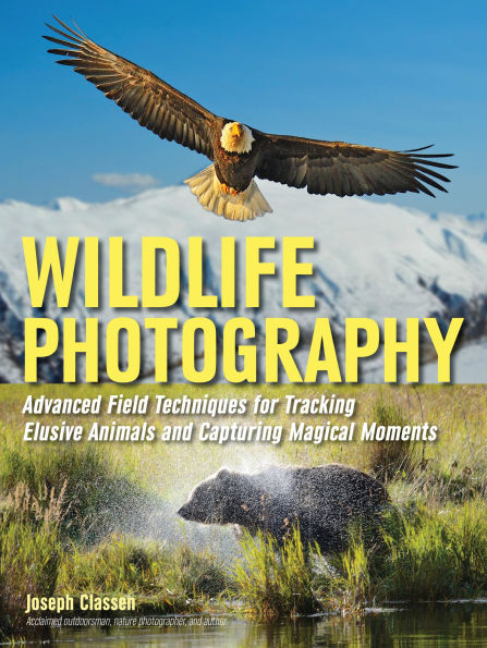 Wildlife Photography: Advanced Field Techniques for Tracking Elusive Animals and Capturing Magical Moments