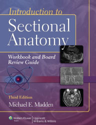 Title: Introduction to Sectional Anatomy Workbook and Board Review Guide / Edition 3, Author: Michael Madden PhD
