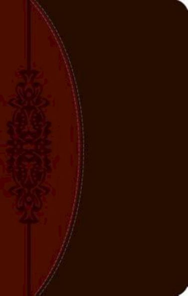 The CEB Wesley Study Bible