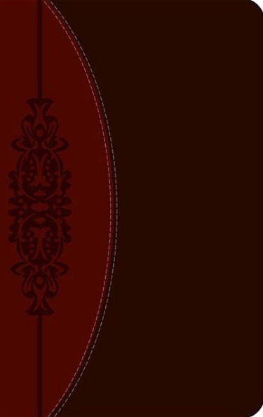 The CEB Wesley Study Bible