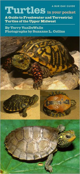 Turtles in Your Pocket: A Guide to Freshwater and Terrestrial Turtles of the Upper Midwest