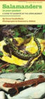Salamanders in Your Pocket: A Guide to Caudates of the Upper Midwest