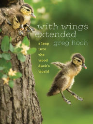 Title: With Wings Extended: A Leap into the Wood Duck's World, Author: Greg Hoch