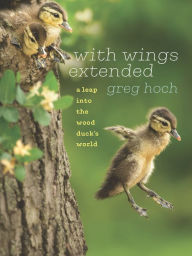 Title: With Wings Extended: A Leap into the Wood Duck's World, Author: Greg Hoch