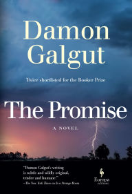 Ebook kindle download portugues The Promise by Damon Galgut DJVU PDF English version