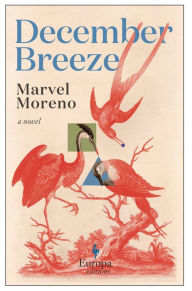 Free downloading of e books December Breeze: A Novel 9781609458034 