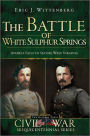 The Battle of White Sulphur Springs