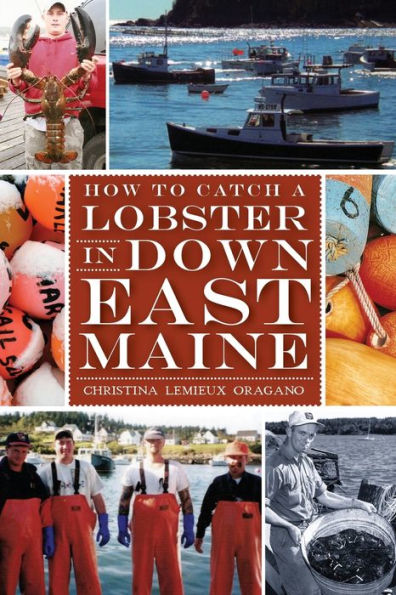 How to Catch a Lobster Down East Maine