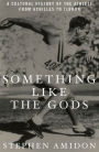 Something Like the Gods: A Cultural History of the Athlete from Achilles to LeBron