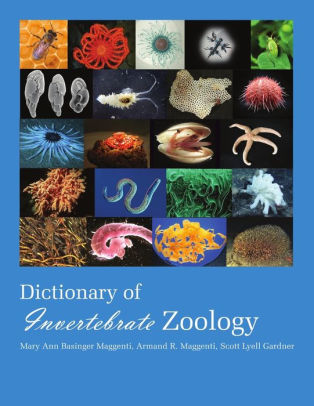 Dictionary of Invertebrate Zoology --Paperback by Maggenti Mary Ann ...