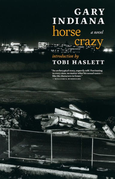 Horse Crazy: A novel