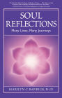 Soul Reflections: Many Lives, Many Journeys