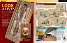 Alternative view 2 of Ripley's Believe It Or Not! Mind Blown