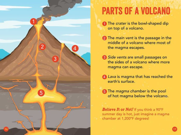 Ripley Readers LEVEL4 Volcanoes