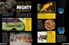 Alternative view 7 of Ripley's Believe It Or Not! Escape the Ordinary