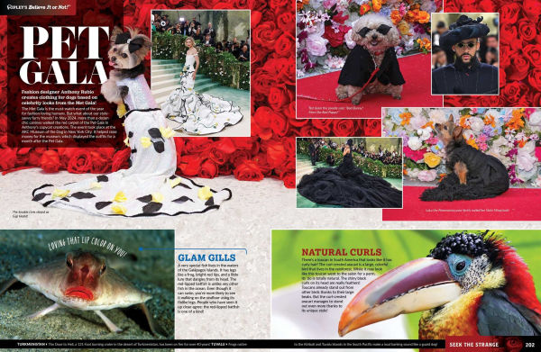 Ripley's Believe It or Not! Seek the Strange