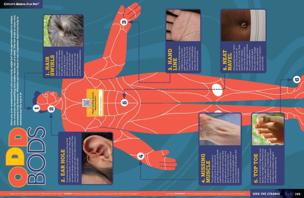 Ripley's Believe It or Not! Seek the Strange