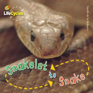 Title: Snakelet to Snake, Author: Camilla de la Bedoyere