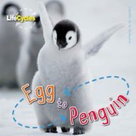 Title: Egg to Penguin, Author: Camilla de la Bedoyere