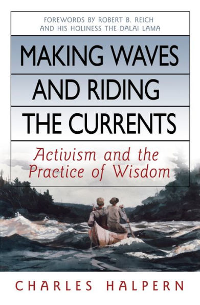 Making Waves and Riding the Currents: Activism and the Practice of Wisdom