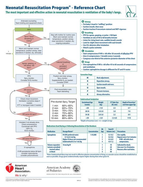 2016 NRP Wall Chart by American Academy of Pediatrics, Other Format ...