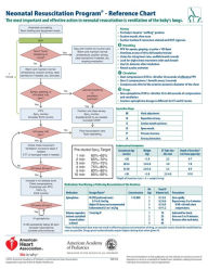 Title: 2016 NRP Code Chart Card (single), Author: American Academy of Pediatrics