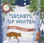 Secrets of Winter (Shine-a-Light Series)
