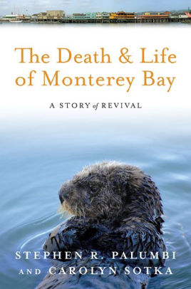 the death and life