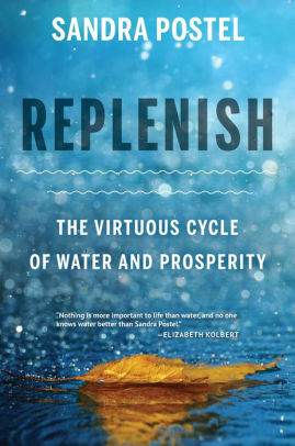 Replenish The Virtuous Cycle Of Water And Prosperity By Sandra