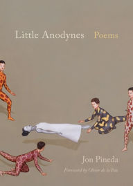 Title: Little Anodynes: Poems, Author: Jon Pineda