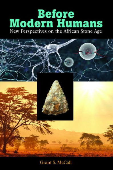 Before Modern Humans: New Perspectives on the African Stone Age / Edition 1