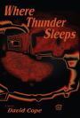 Where Thunder Sleeps: A Novel