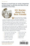 Alternative view 2 of Chicken Soup for the Soul: What I Learned from My Dog: 101 Stories about Our Best Friends