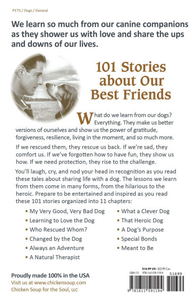 Chicken Soup for the Soul: What I Learned from My Dog: 101 Stories about Our Best Friends