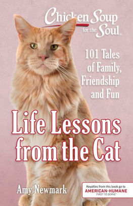 Chicken Soup For The Soul Life Lessons From The Cat 101 Tales Of Family Friendship And Funpaperback - 