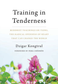 Title: Training in Tenderness: Buddhist Teachings on Tsewa, the Radical Openness of Heart That Can Change the World, Author: Dzigar Kongtrul