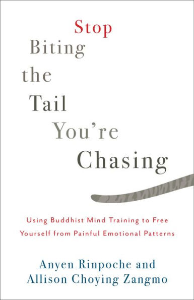 Stop Biting the Tail You're Chasing: Using Buddhist Mind Training to Free Yourself from Painful Emotional Patterns