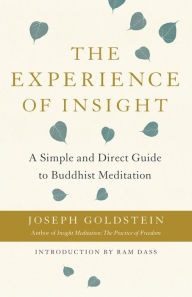 Books for downloads The Experience of Insight: A Simple and Direct Guide to Buddhist Meditation 9781611808162 DJVU in English