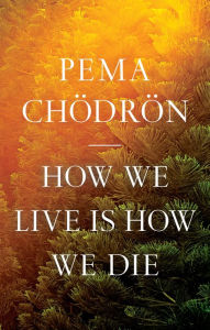 Epub ebook torrent downloads How We Live Is How We Die RTF PDF FB2 by Pema Chodron, Pema Chodron English version 9781611809244