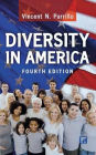 Diversity in America / Edition 1