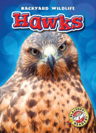 Title: Hawks, Author: Kari Schuetz